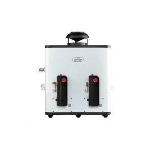 Calentador de Paso Gas LP Calorex, Para 3 Servicios, con la Capacidad de 15 Litros.
