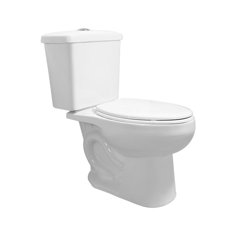 EC-CAT-GOYA-B-1000x1000-1