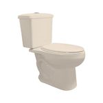 EC-CAT-GOYA-M-1000x1000-2