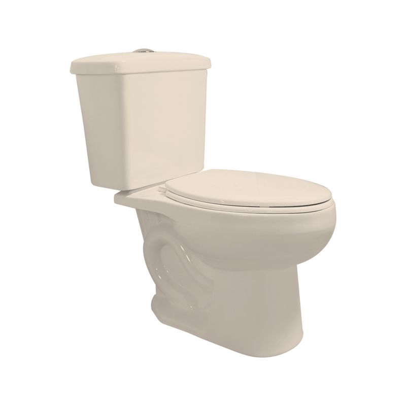 EC-CAT-GOYA-M-1000x1000-2