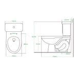 EC-CAT-GOYA-M-1000x1000-3