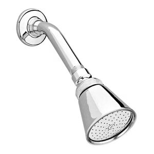 Regadera Cromo con brazo y chapeton Helvex H200