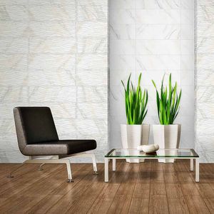 Loseta 55X55 Carrara Clasico FD Blanco 1A | $199 m2