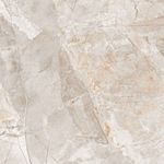 TENDENZZA-PP132-1000x1000