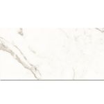 TEN-PP161-1000x1000