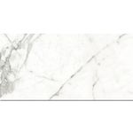 TEN-PP142-1000x1000