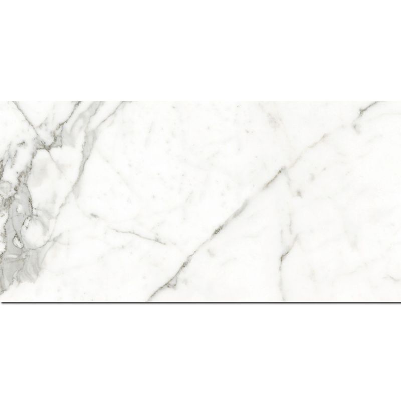 TEN-PP142-1000x1000