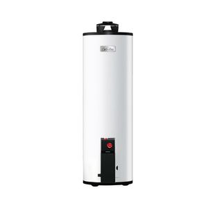 CALENTADOR DEPOSITO MAXIMUS G-20 GAS LP, Capacidad de 72 Litros, para   2 servicios