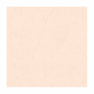 Loseta 60X60 Dante FD Hueso | $ 264.39 m2