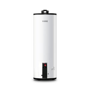 Calentador Calorex Deposito MAXIMUS G60 G2 LP