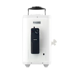 Calentador de Paso Fortis 06 Gas LP
