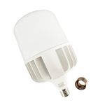 LED06-100W