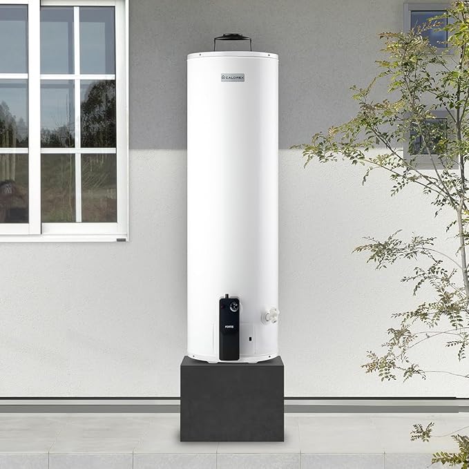 Calentador Fortis Deposito G30 Gas LP 3